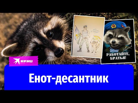 Енот из Херсона: новый друг российских военных