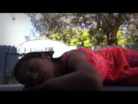 pest-control-bakersfield---wow-pest-control-in-bakersfield,-ca