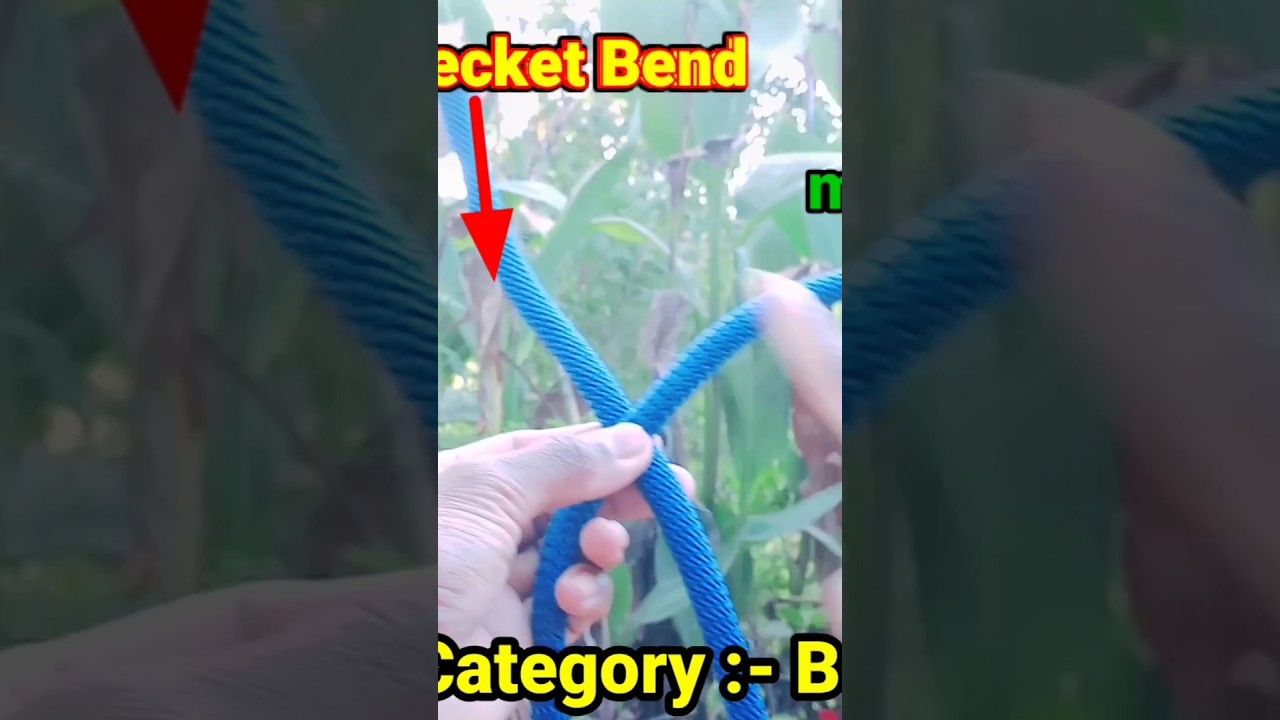 becket bend rope knot| 