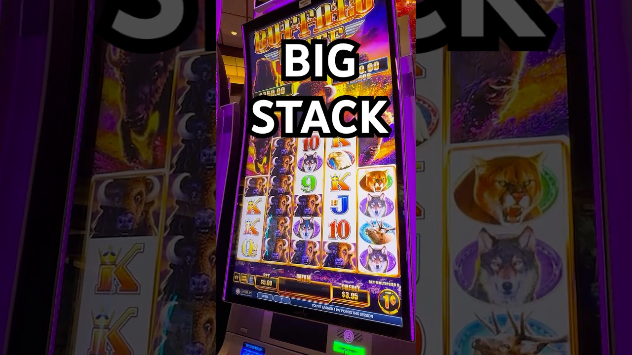 GIANT STACK OF BUFFALO HITS 🎉