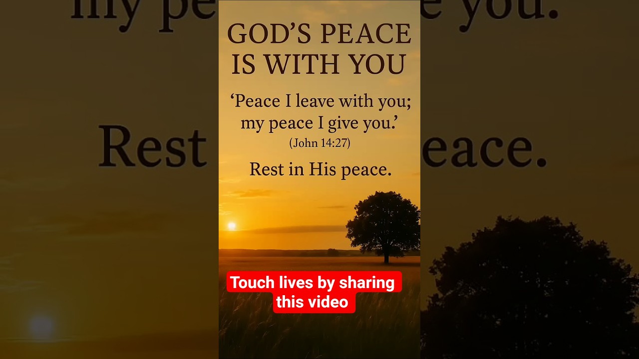 Finding Peace in a Chaotic World