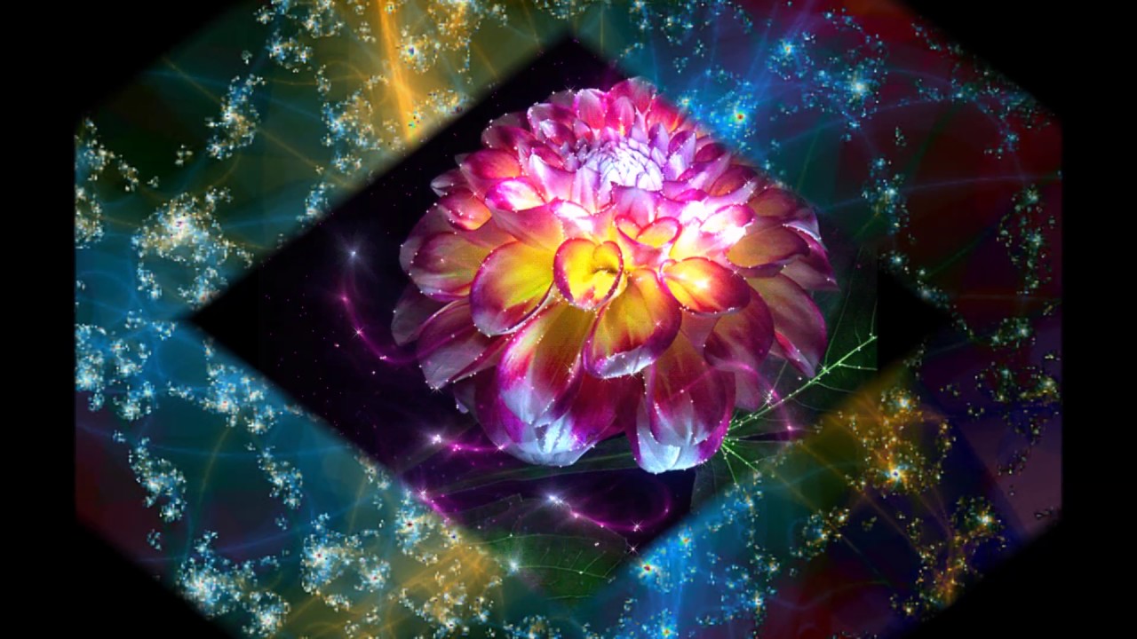 1РЭЙКИ КРУГ от 29 10 16