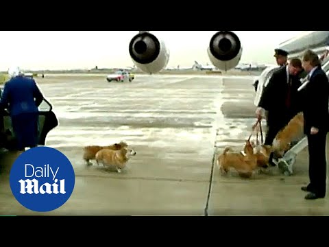 Video: Elizabeth II showed her corgi