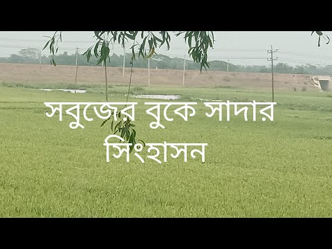 ভিডিও: প্রকৃতি ও আধুনিকতার গৃহায়ন