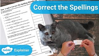 5 Fun Ways to Practice Spellings