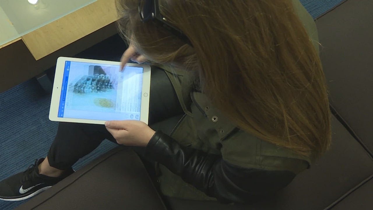 How to keep kids safe online in an age of technology