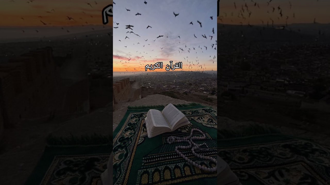 QURAN URDU TRANSLATION #quran #quranforeever #qurantranslation #quranrecitation #love #motivation