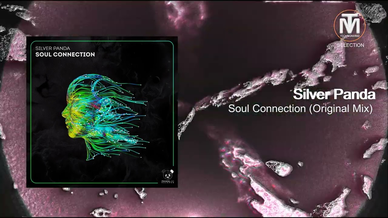 Silver Panda - Soul Connection (Original Mix) [Panda Lab Records]
