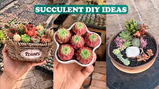 Top 27 Succulent DIY Ideas| 27 ý tưởng trang trí sen đá| 多肉植物| 다육이들 | Suculentas