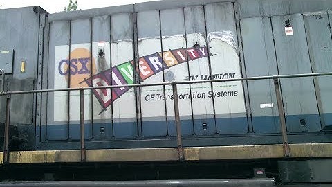 Train Meet with CSX 699 Diversity in Motion