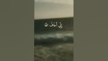 حالات واتس اب قرآن كريم من سورة المائدة القارئ طارق محمد