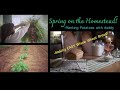 Spring on the homestead  easy whole wheat bread  garden preview