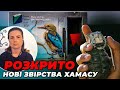 💥Розстріляли у бомбосховищі! Журналістка з Ізраїлю про настрої у країні, ЦАХАЛ та обстріли/ ДРЮЧКОВА