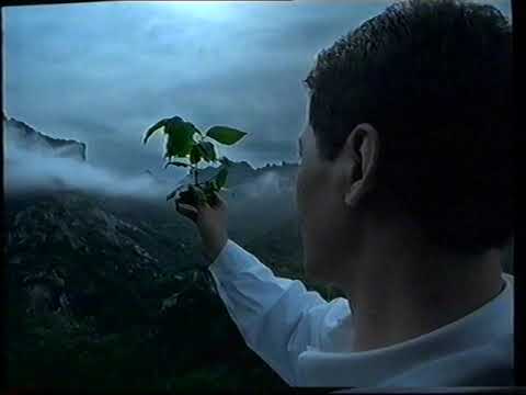 [香港經典廣告](1998)維特健靈 盈養草