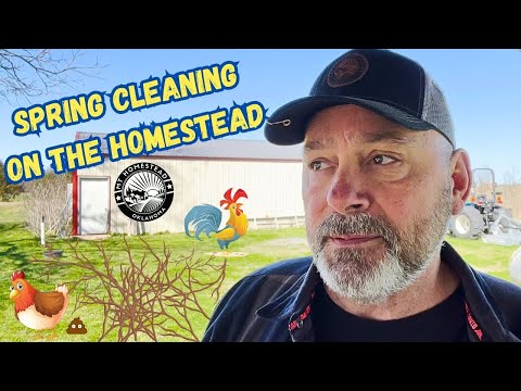 Spring Cleaning On The Homestead | So Many Tree Limbs