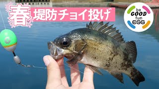 ちょい投げウキ釣りStyle！春の堤防釣り。