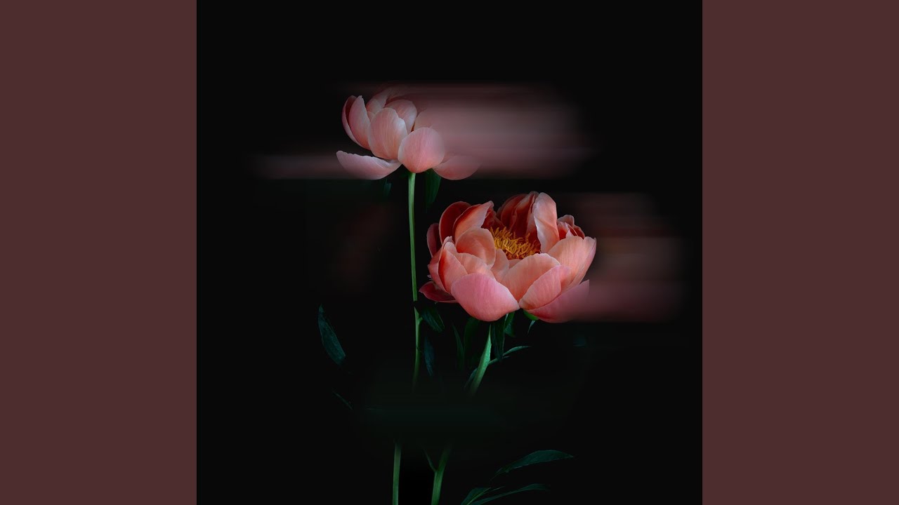 Reflections auf YouTube ansehen Reflections auf YouTube ansehen