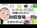 ウーパールーパー品種、レア種紹介20匹‼️【皆さんはどの子が好きですか？】⚠️上陸個体あり