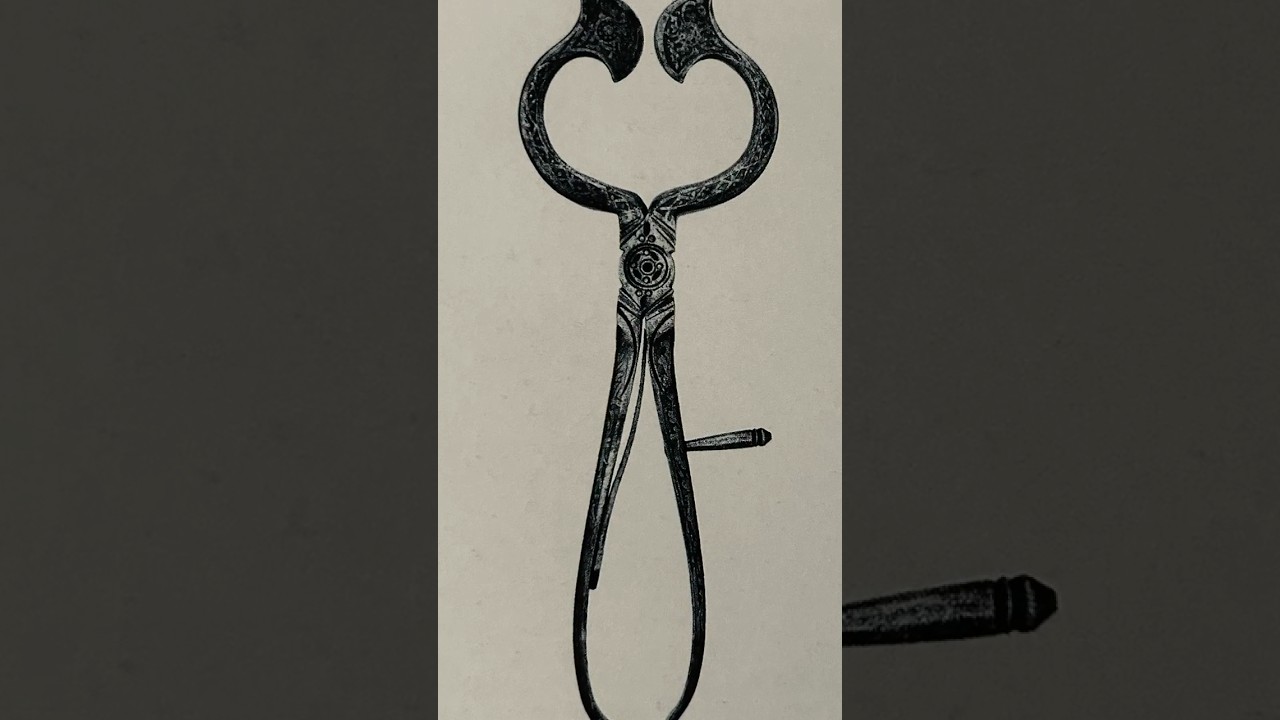 Символ роскоши 17 века: щипцы для колки сахара 