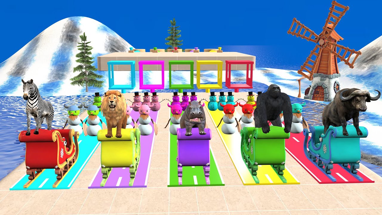 Playing Funny 3D Animals Long Slide Game | Zebra, Lion, Hippo, Gorilla, Buffalo