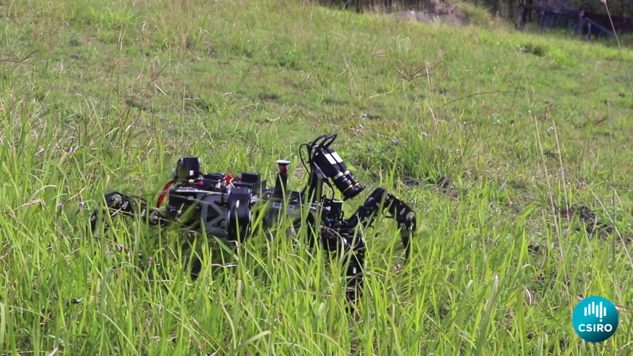 Weaver robot by CSIRO