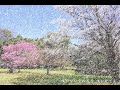 【初音ミク/鏡音リン】桜舞 -Re-【オリジナル】