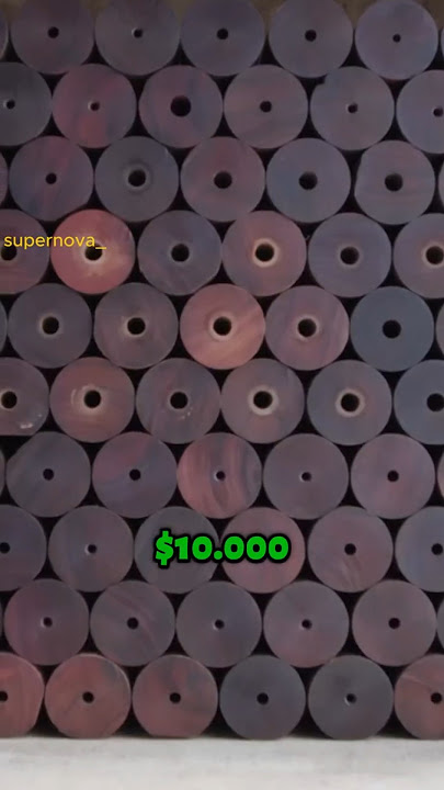 Kenapa Kayu Ini Disebut ‘Emas Hitam’ dari Afrika? #shorts #reels #facts #science #fun #gold