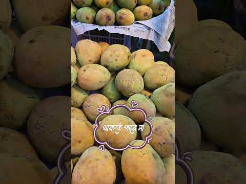 #food #vlogwithsohelvillagelifestyleinbangladeshbeautiful #aakhirkyutootichhorebarghatiteam