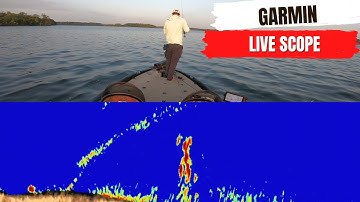 Bass Fishing Live Scope Screen Recording