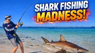 Shark Fishing NZ – Land Based Chaos! Shark Fishing NZ – Land Based Chaos!