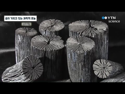 숯이 가지고 있는 과학적 효능 / YTN 사이언스