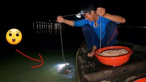 Giăng Câu Mồi Tép Dính Cá Ngát, Cá Sủ Nhiều Lắm #66TV #sănbắtđồngtháp #mekongriverfish