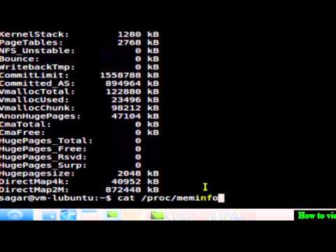 How to check ram usage in Linux