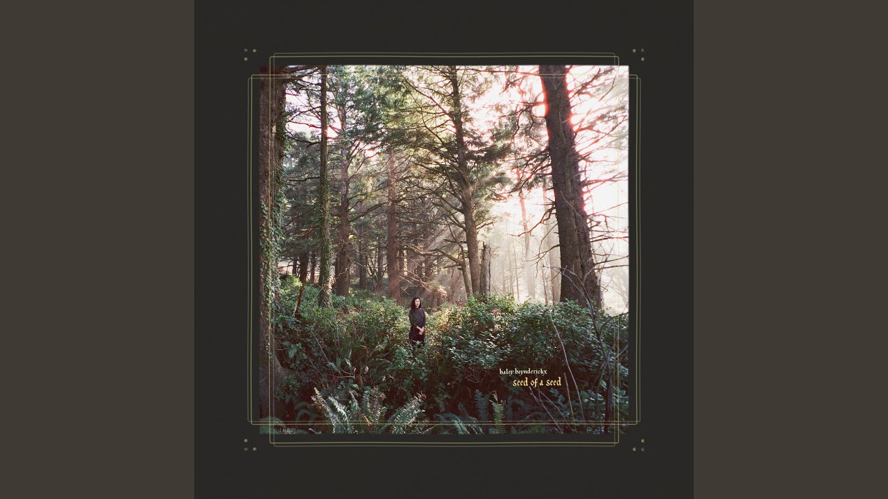 Watch Sorry Fahey on YouTube Watch Sorry Fahey on YouTube