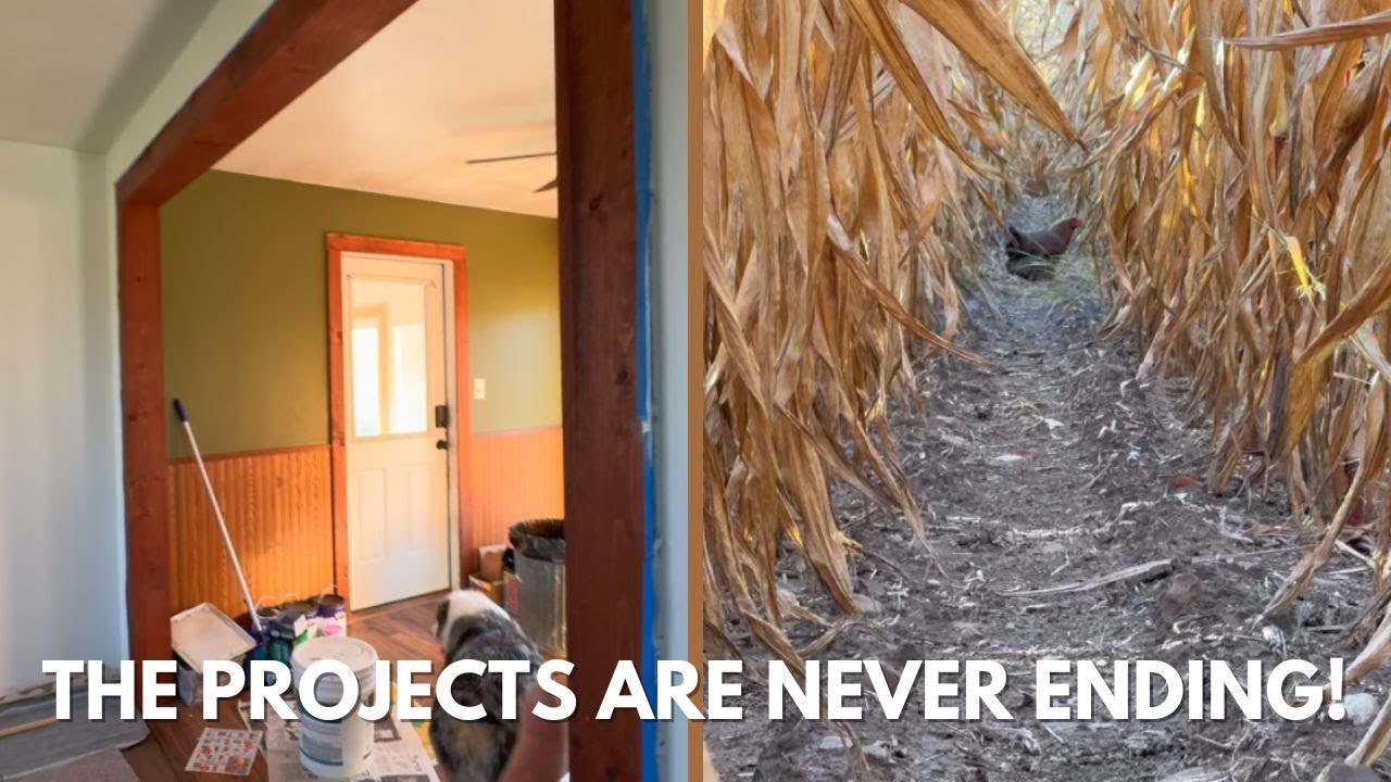 Прогресс дома и фермерская драма