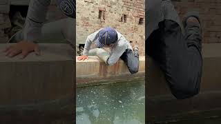 Nail ma sea colour ful chicks ko paker lea 😍 #minizoo #pigeon #whitepigeon