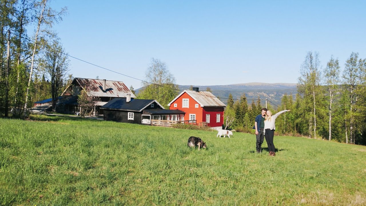 The First Spring at our new Homestead | #01 Farm Diaries