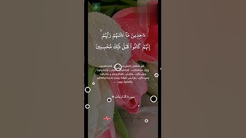 أجمل حالات واتس اب دينية💛// قرآن كريم💕//{إن المتقين في جنات وعيون}🌺حياة القلوب🤍🕊️//