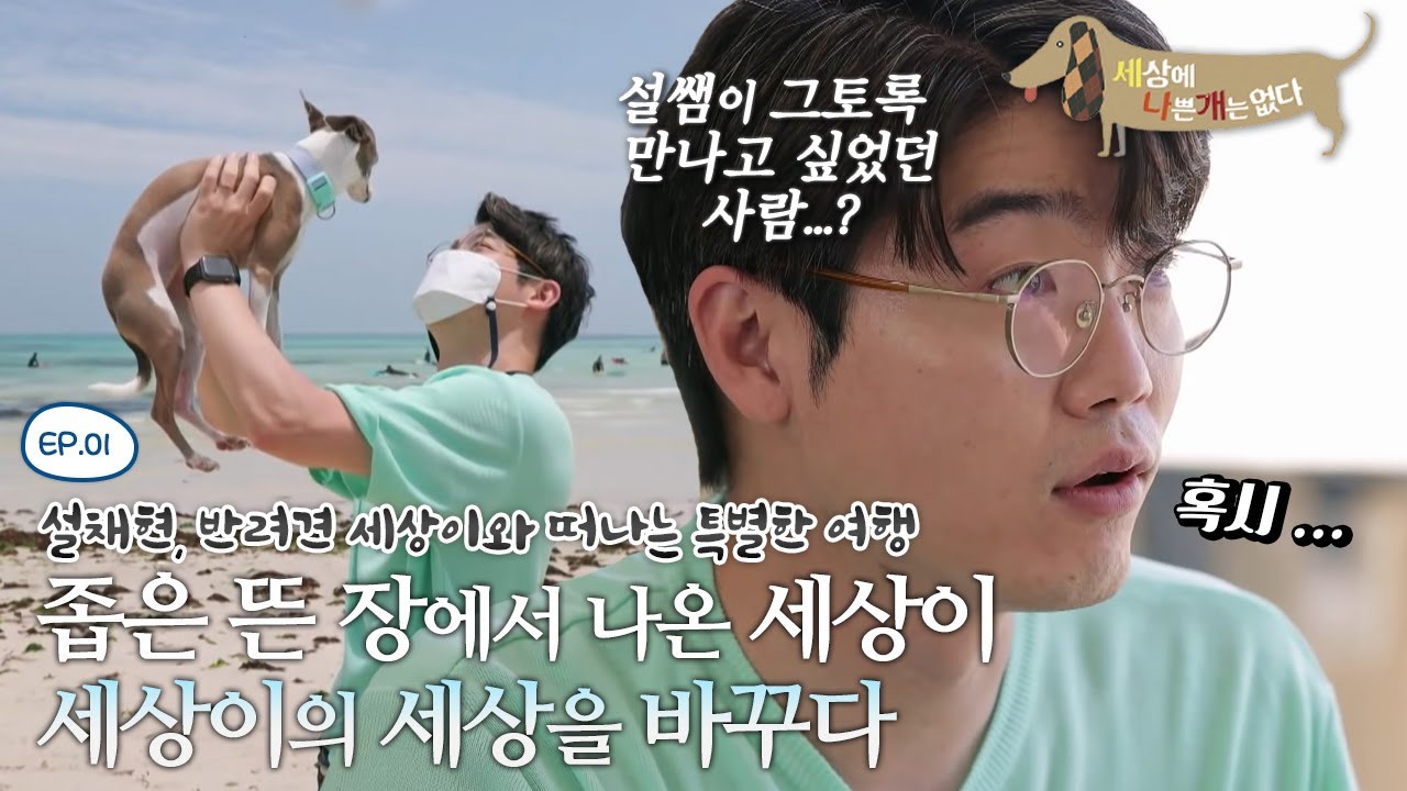세상에 나쁜 개는 없다 - 설채현, 반려견 세상이와 떠나는 특별한 여행_#001