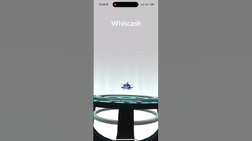 Evolving Shiny Barboach Into Shiny Whiscash In Pokémon Go