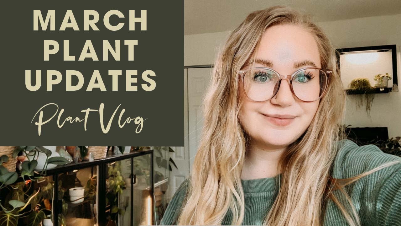 March Houseplant Updates! | Rearranging for a Facebook Marketplace Find | New Plant Shelf