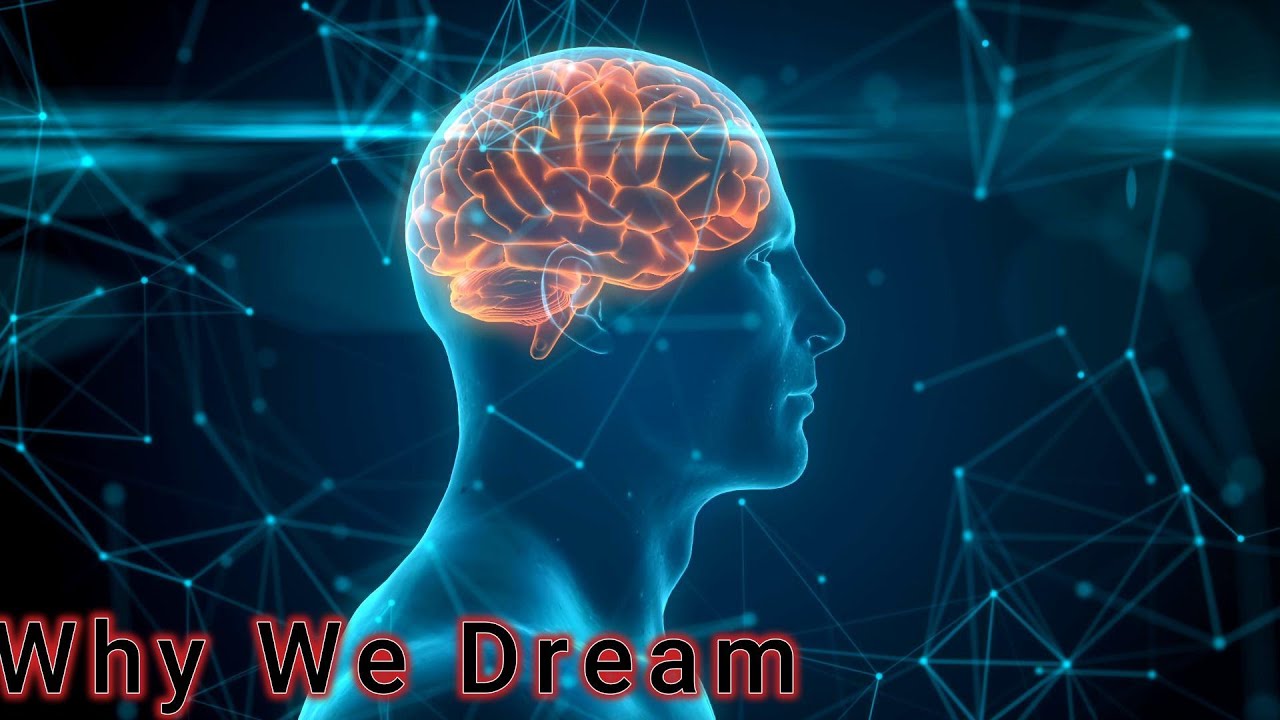 The Science of Sleep: Why We Dream - YouTube