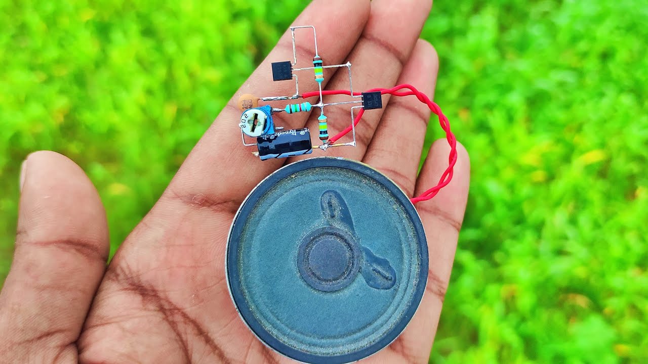 Multi Bird Sound Circuit.