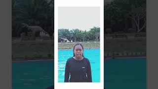 TUGAS PRAKTEK RENANG GAYA DADA