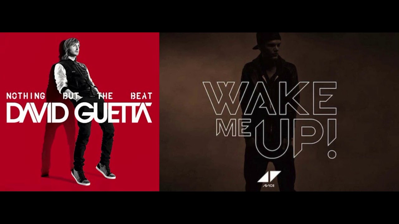 Avicii Wake Me Up Remix David Guetta