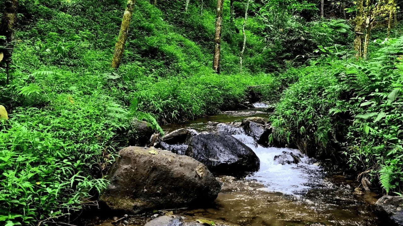 Calm Mountain River flowing in Elk Valley 4k. Relaxing River Sounds, Nature White Noise 