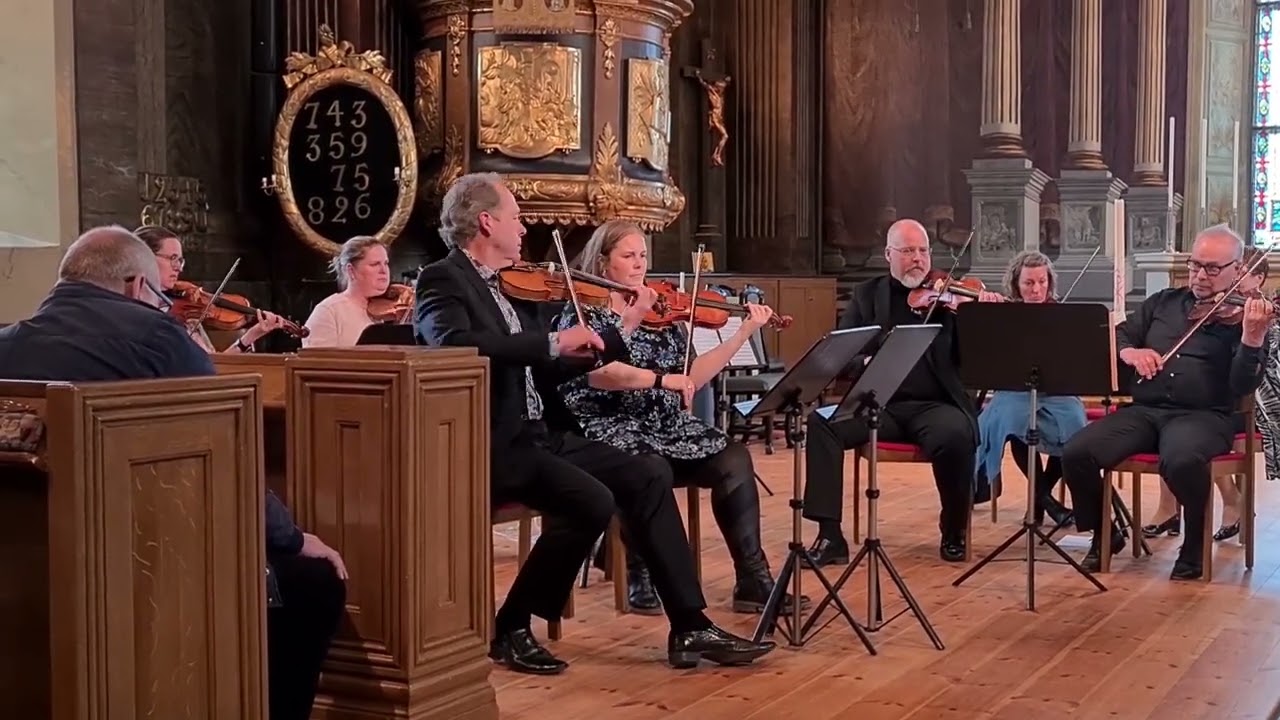 Ovikens Kammarorkester