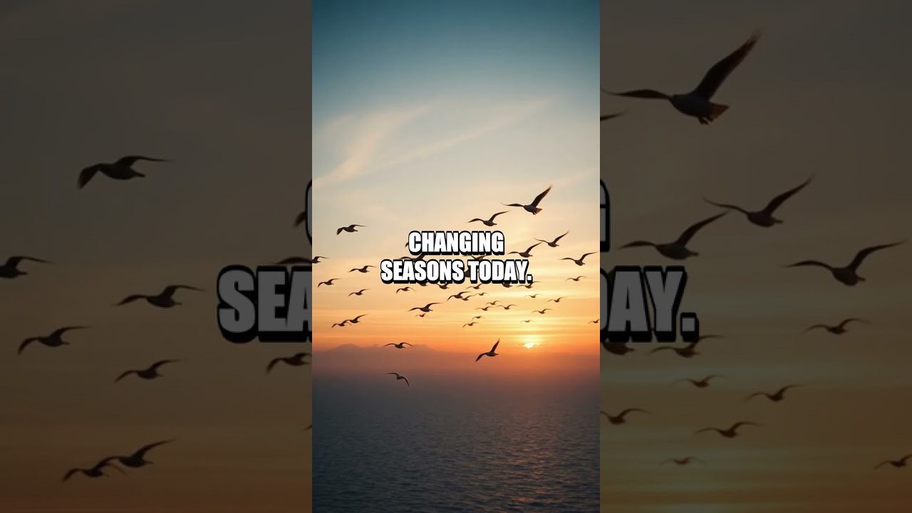 Feathers Forecast the Future