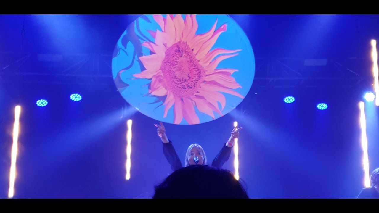 Dizzy Sunflower YouTube