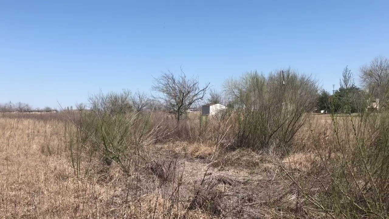 El Camino Real de Los Tejas - Old San Antonio Road traces